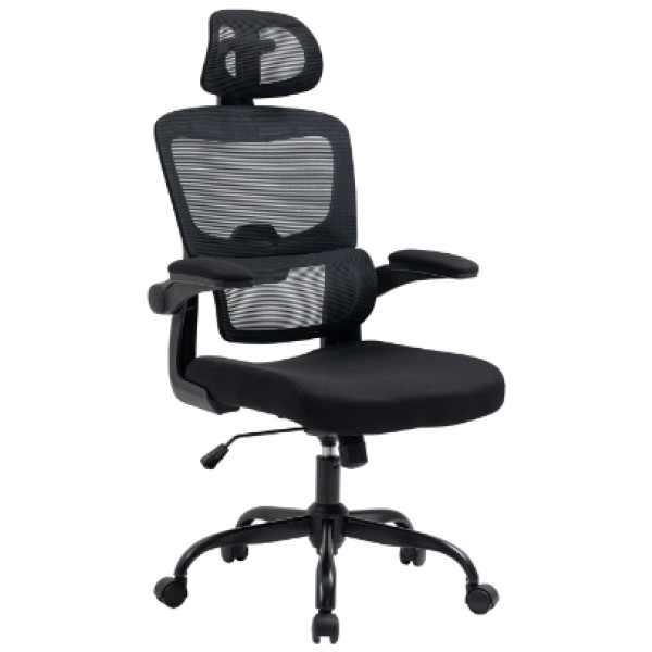Silla Ejecutiva Rusi