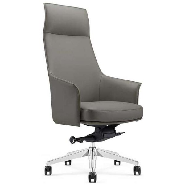 Silla Ejecutiva Dream