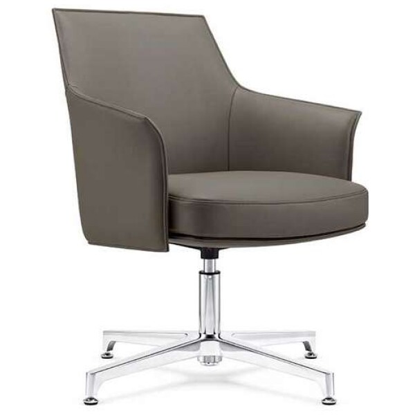 Silla Visitante Dream