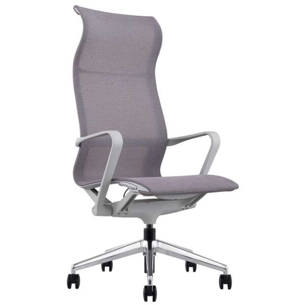 Silla Ejecutiva Evolution - Imagen 3