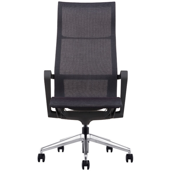 Silla Ejecutiva Evolution - Imagen 6
