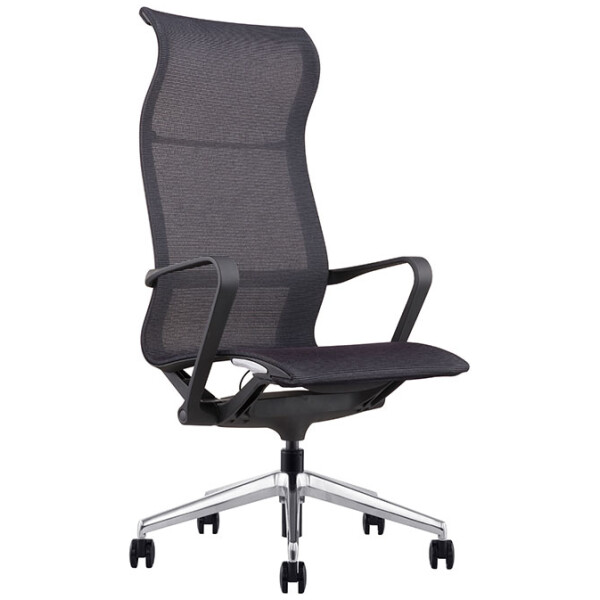 Silla Ejecutiva Evolution