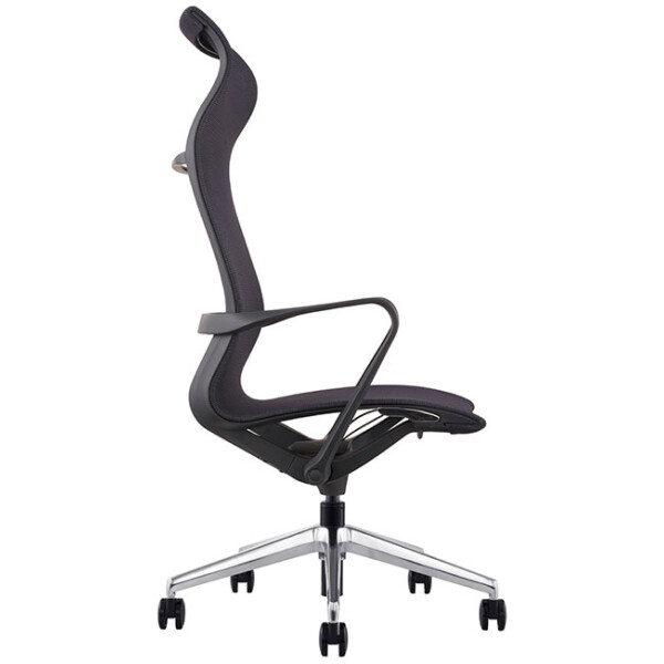 Silla Ejecutiva Evolution - Imagen 7
