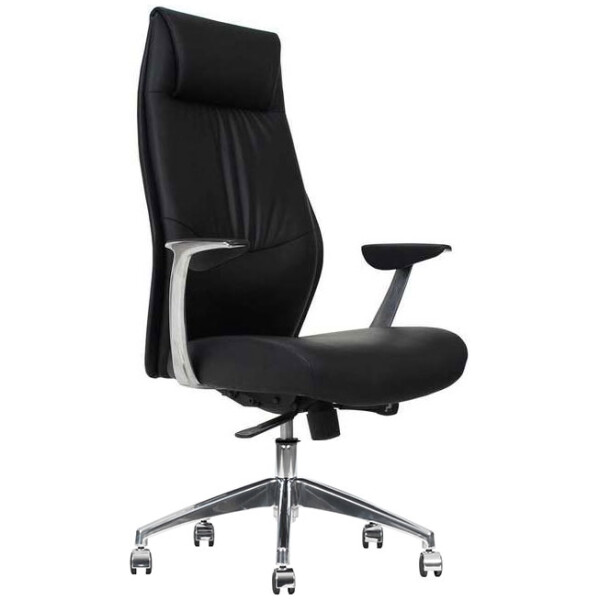 Silla Ejecutiva President