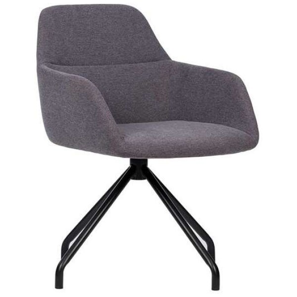Silla City Spider